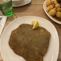 Schintzel  at Velani in Vienna