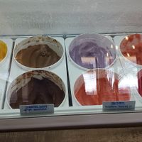 Non-dairy options at Tongue In Cheek Ice Cream in Richardson
