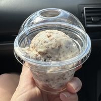 Coconut dark chocolate  at Tongue In Cheek Ice Cream in Richardson