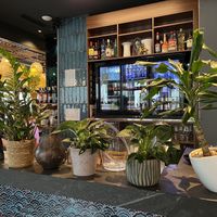 The bar  at Noosou in Bremen