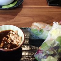 Summer Rolls at Noosou in Bremen