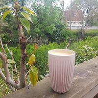 Oat latte by the river at Happyccino in Wimborne