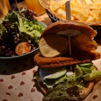 Vischers Fritz, fries and salad. Burger was a bit dry. at Burgerheart in Ingolstadt