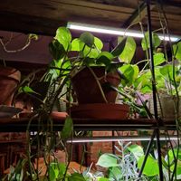  at Wanderlust in Regensburg