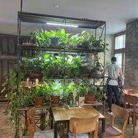   at Wanderlust in Regensburg