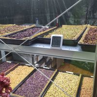 Fresh sprouts at Wanderlust in Regensburg