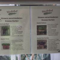 Info about fresh sprouts at Wanderlust in Regensburg