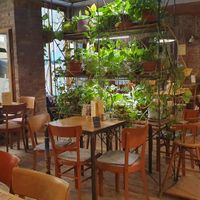 Interior at Wanderlust in Regensburg