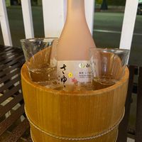 Saki at The Yasai - Little Italy in San Diego