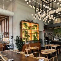   at The Yasai - Little Italy in San Diego