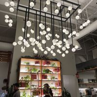   at The Yasai - Little Italy in San Diego