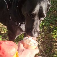  at Slaščičarna Jagoda in Ptuj