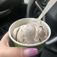Vegan Oreo ice cream at Square Scoop in Indianapolis