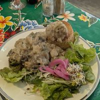 Vegan videe at Eeden in Turnhout