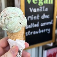 Mint chocolate chip  at 100 Flavours in Cheddar