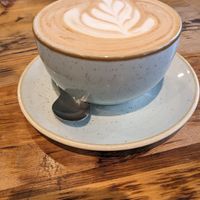 Oat milk latte at Olive & Bean in Newcastle Upon Tyne