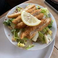   at Shepherd's Pub in Elora