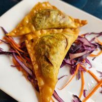 Wontons at Aroy Thai Gardens in Middletown