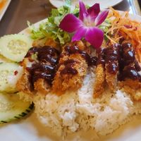 katsu at Aroy Thai Gardens in Middletown