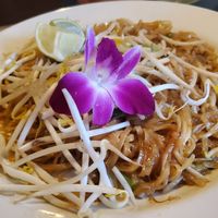 pad thai at Aroy Thai Gardens in Middletown