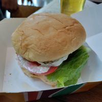 Spicy chikn at PLNT Burger in Wynnewood