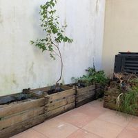 The courtyard at Botellini in Caldas Da Rainha