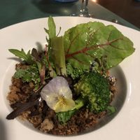 Garden salad  at Botellini in Caldas Da Rainha