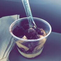 Tiramisu! at iVegan in Rome