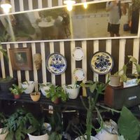 Deco at Socrates in Medan