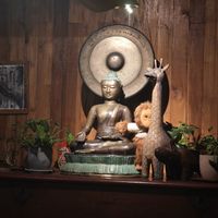  at Socrates in Medan