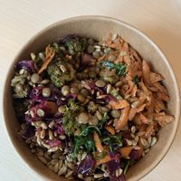 Carsko zelje - Savage cabbage at BIFE in Ljubljana