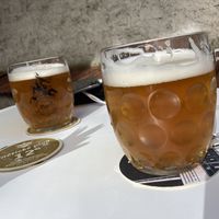 Czech beer at Shromaždiště in Prague