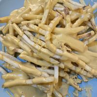 Cheesy fries  at Shromaždiště in Prague