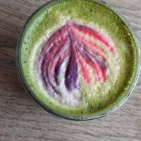 Matcha infusion at Season Marais in Paris