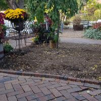 Outside at Peace Love Coffee in St Charles