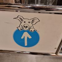 Bleh at Färm in Leuven