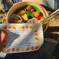 Bento lunch to go at Naramachi Vegan Nabi in Nara