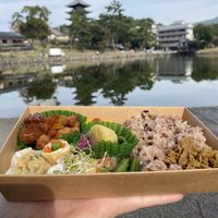 Many different dishes to test in this bento box. It is more than it looks like😄 at Naramachi Vegan Nabi in Nara