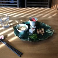 Starters. Note the paw for the chopsticks!  at Naramachi Vegan Nabi in Nara