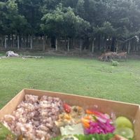   at Naramachi Vegan Nabi in Nara