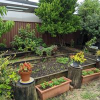  at The Shack in Monterey