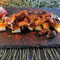 Shitake a feira at Go Vegan by Adrian Muser in Altea