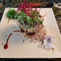 tartar crudivegano at Go Vegan by Adrian Muser in Altea