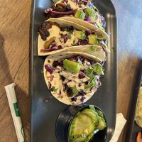 Korean Street Tacos 🤤  at Vegetation Plant Food in Lakeland