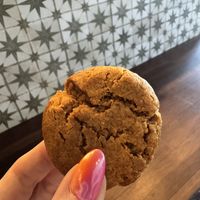 Great peanut butter cookies too  at Vegetation Plant Food in Lakeland