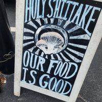  at Vegetation Plant Food in Lakeland