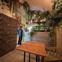   at Jungle Bar & Bistrot in Monopoli