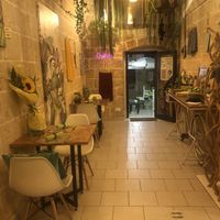 Bar from the inside 😍 at Jungle Bar & Bistrot in Monopoli