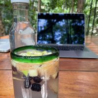 Tonic water with fruits. Super refreshing .  at Tierra in Tulum