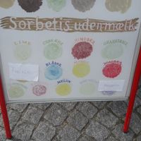 Vegan selection at Den Italienske Isbutik in Kerteminde